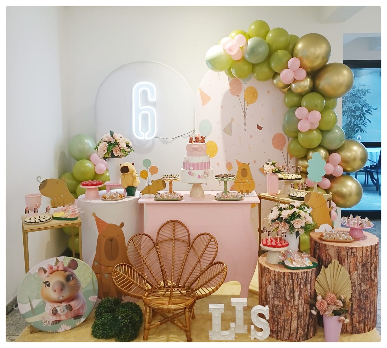 Festa Capivara Rosa Lis